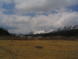 OBrien Meadows