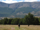 a meadow in Valle Encentado