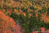 Colorful Mountainside.jpg