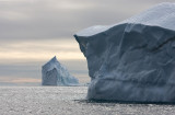 Iceberg boat tour (East-Greenland)