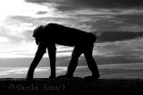 Chimpanzee on all fours