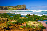 Avalon Beach with sea grass