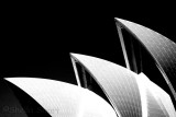 Sydney Opera House - a black and white abstract