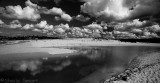 Curl Curl  beach in black and white