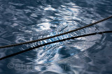 Rope reflection