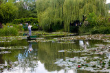 Water lily pond at Monet's Gardens