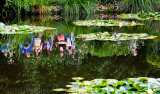 Reflection in Monet's lily pond, Giverny, France