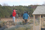 Michael and Lynn scoping out a marsh