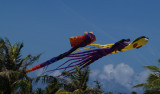 Kites, Guam