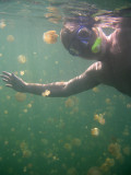 Jellyfish Lake