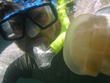 Jellyfish Lake