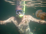 Jellyfish Lake