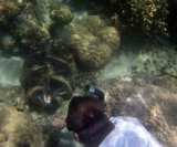 Giant Clam