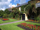 Adare