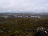 roundstone bog