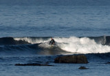 crab island surf