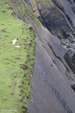 Living on The Edge!