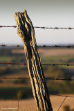IMG_7291 copy.jpg