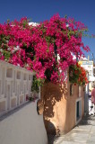 PICT0229.JPG