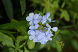 DSC00064.JPG