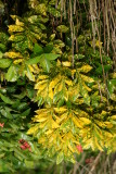 DSC00211.JPG