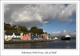 Whats the Story Tobermory?