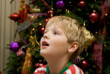 IMG_6163_web.jpg