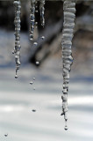 58mm Icicles 3068.jpg