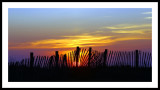 Sunrise over the dunes