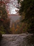 Looking out over  Wolf Creek Falls