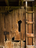 Barnwood