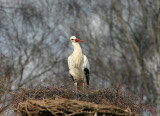 IMG_2925-PB.jpg