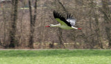 IMG_2964-PB.jpg