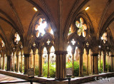Salisbury Cathedral Cloister