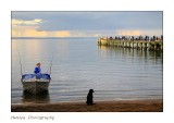 Late Afternoon Cornwallis Wharf.