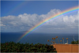 Rainbow over Rangitoto