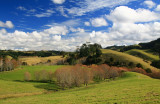 Kiwi Countryside.