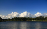 Waikato River.