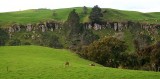 Waikato hills.