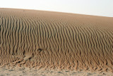 Patterns in the sand