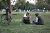 A game in the park