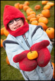 Pumpkin Picking