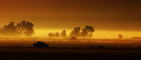 Early morning