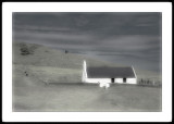 IR Action