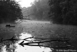The Arrowhead - 2006 UMD Photo Contest Winner - Black & White