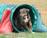 Photo used for Lucy Throw