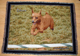Blues Throw