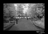 IR Nashville IV