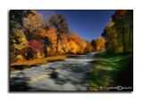 Late Fall<p>November 2