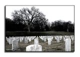 Gardens of Stone<p>November 7